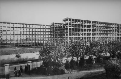 Struttura nel 1949